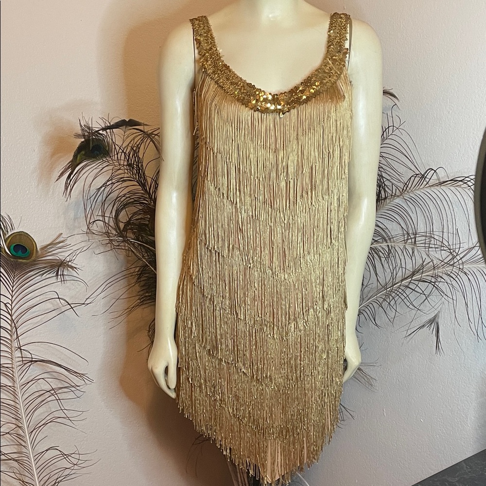 Gold Fringe flapper mini Dress stretch costume dancer
